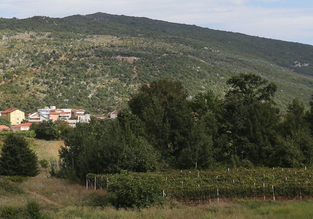 Villa Flowers Međugorje Exterior foto